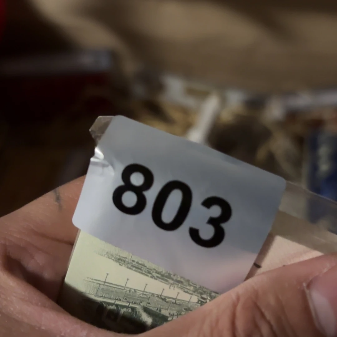 玉5345645665466444445555