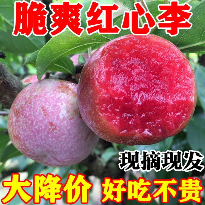 【现摘现发】正宗红心李新鲜三华李现摘现发水果李子红心李酸甜5斤