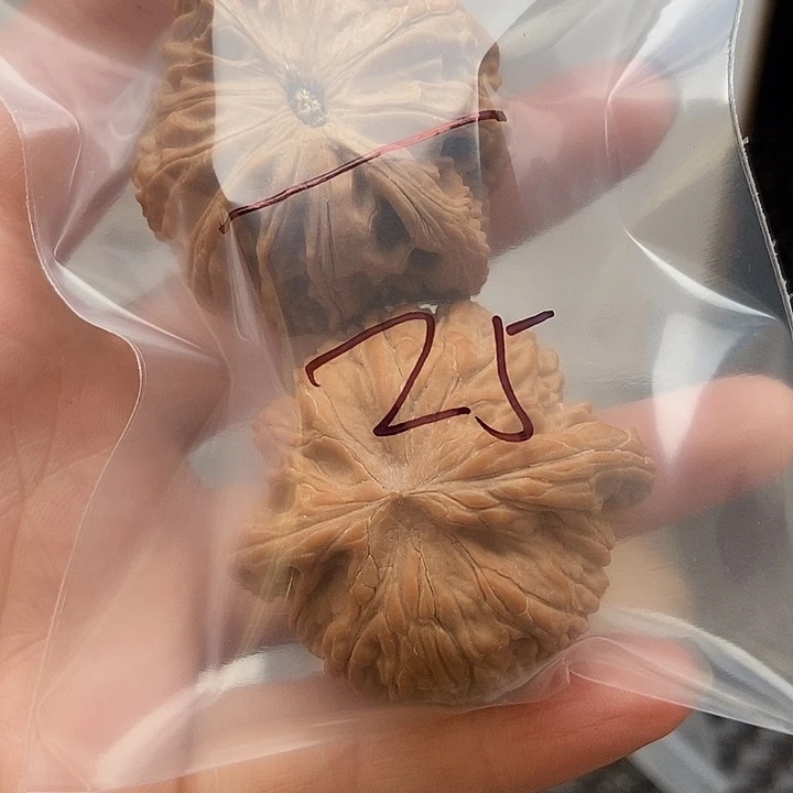 王***️大大大大大大大磨盘