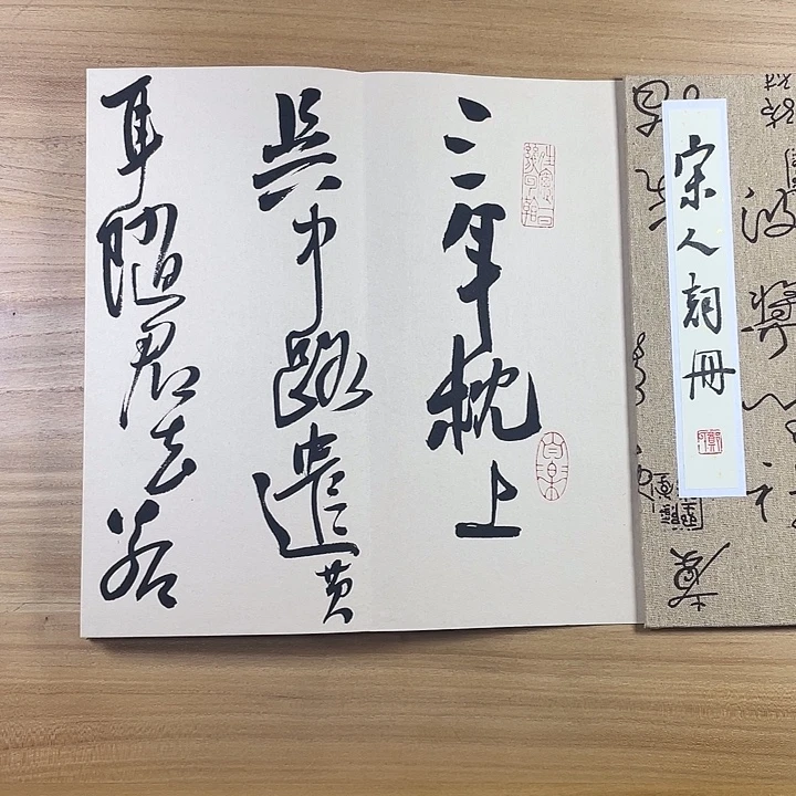 书法中书协会员作品