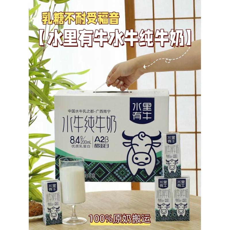水里有牛水牛纯牛奶8.4g优质蛋白/200ml含A2β酪蛋白12盒每箱牛奶