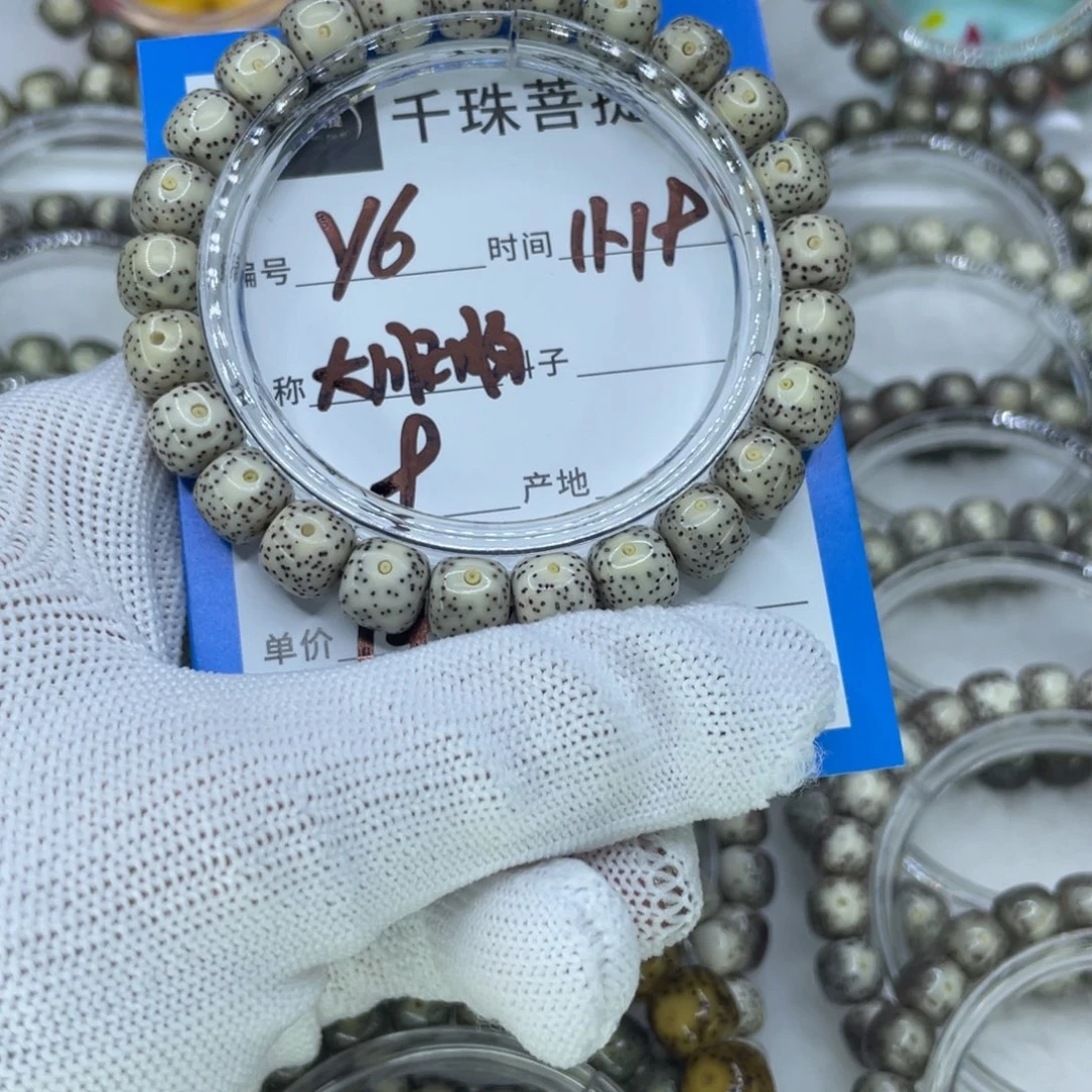 菩提籽类Y6大眼睛00