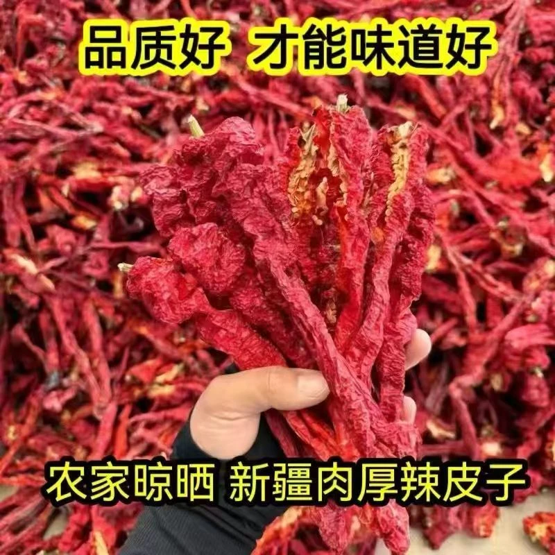 新疆特产焉耆肉辣皮子自然晒干人工晾晒香辣
