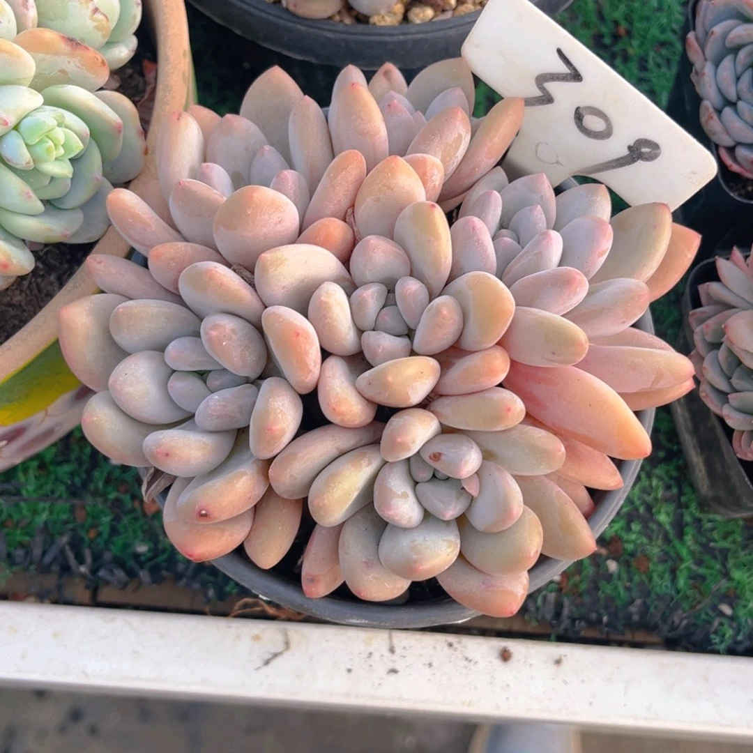 续**.309fghjjjjjjjjjjj