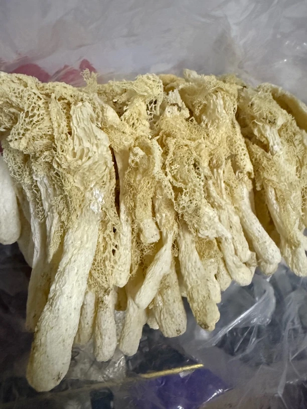 新货竹荪干货自然采摘无硫煲汤火锅营养美味菌菇食材