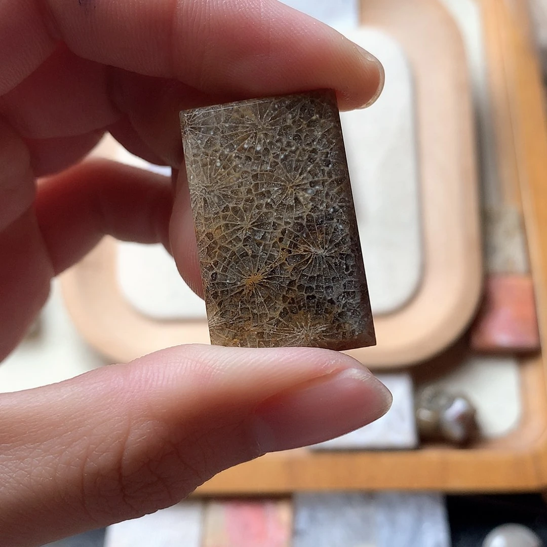 硅化珊瑚（珊瑚玉）颈饰未镶嵌用****2