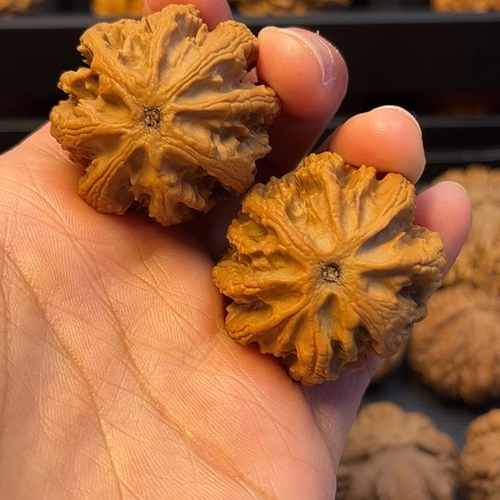 核桃秦岭突突突突突突突突60