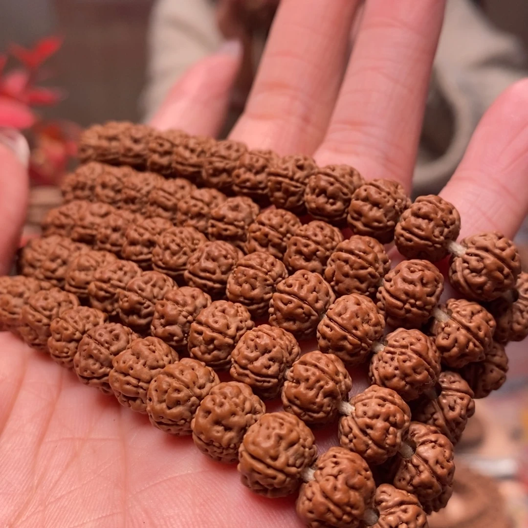 老***泡菩提籽类老树王长串