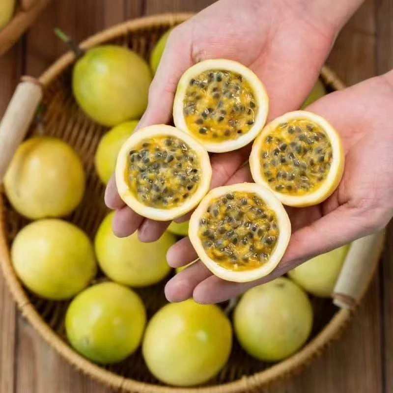 【20枚装】产地直发钦蜜九号黄金百香果新鲜越皱越甜