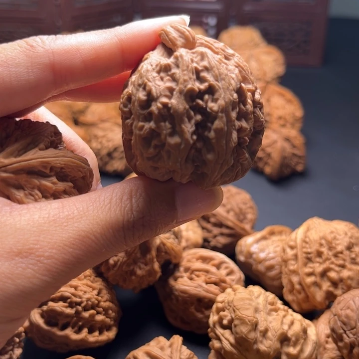 ?**蝶核桃哈哈哈哈哈哈哈哈哈