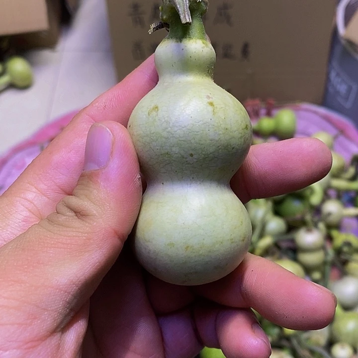 宝****芦长嘴哈哈哈哈哈哈哈哈哈哈哈好