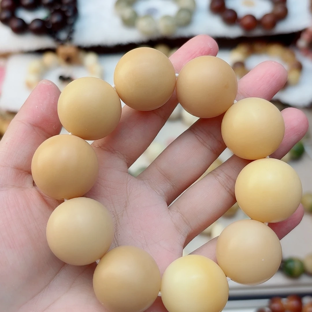 手串菩提根/象牙果