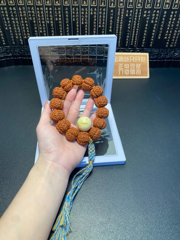 新品，树王梅花（5号）