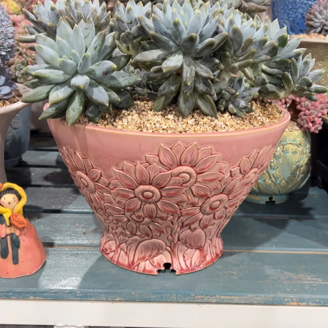 n***v大盆1017-008人鱼斗笠j