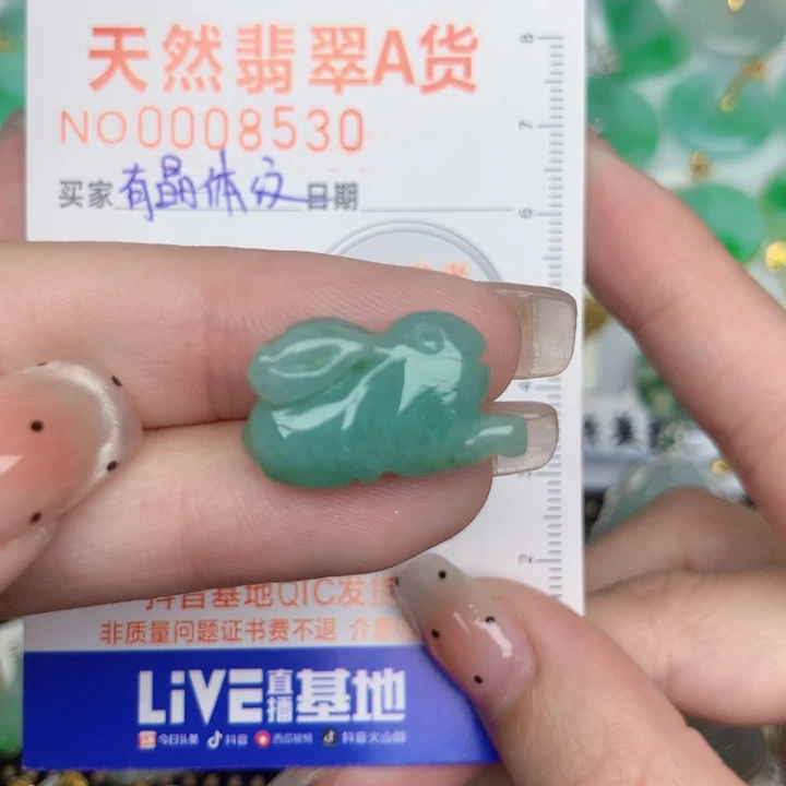 翡翠未镶嵌颈饰兔