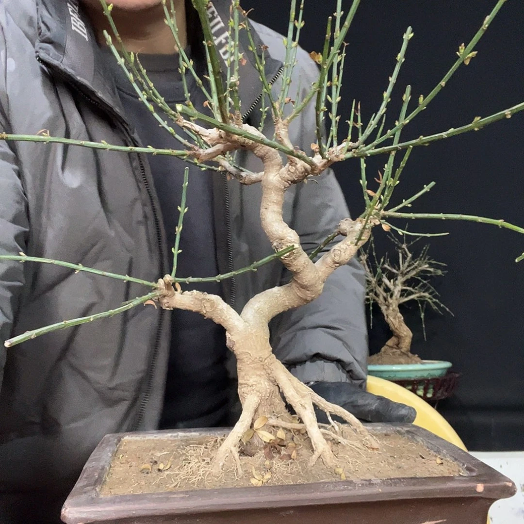 飘***逸无花朵谢谢你的关心和支持