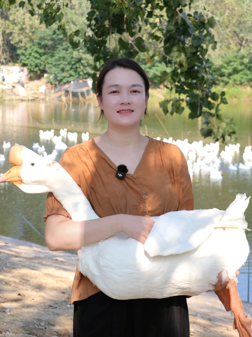 农家散养大白鹅带肫爪内脏（一物一拍）