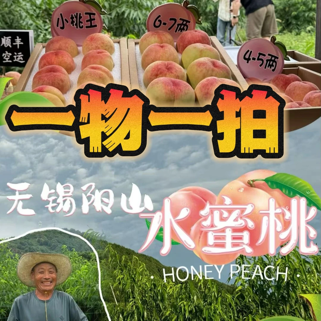 【一物一拍】  直播或联系客服选苗 正宗阳山水蜜桃苗
