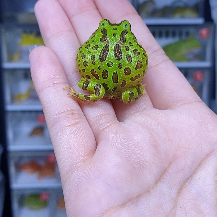 特价秒杀现货特价残