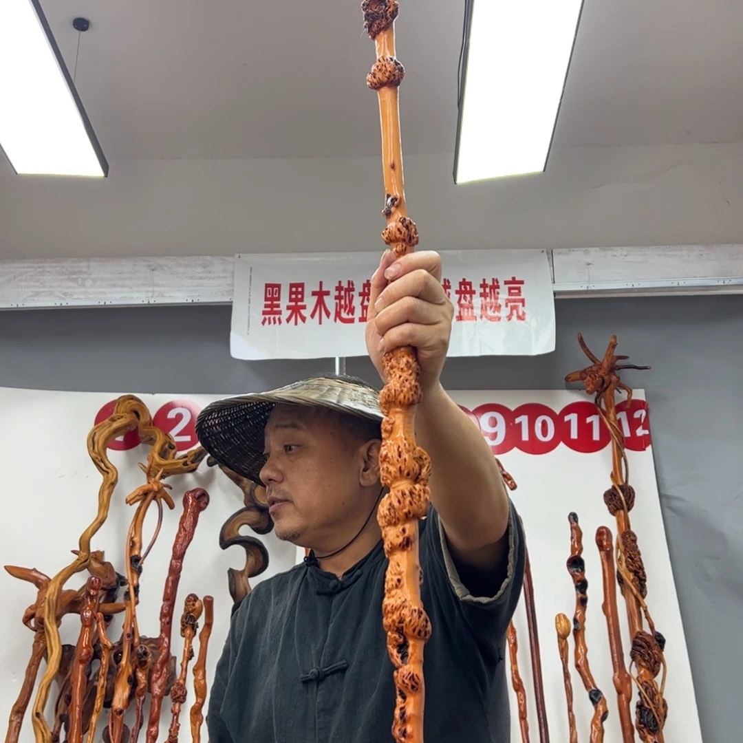 其他黑果木黑果木672