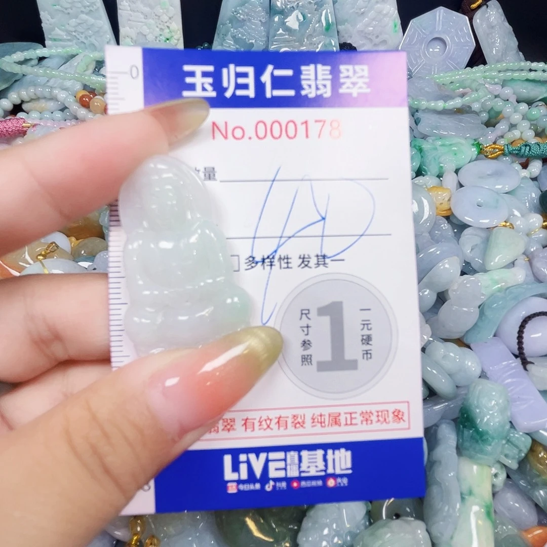 翡翠未镶嵌颈饰1！