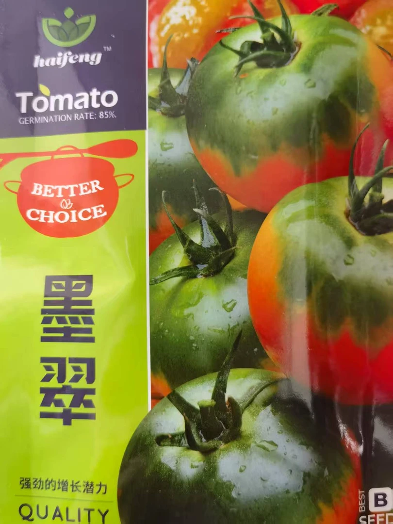 墨翠草莓柿子种子草莓柿子籽大棚保护地专用草莓柿子种子1000粒