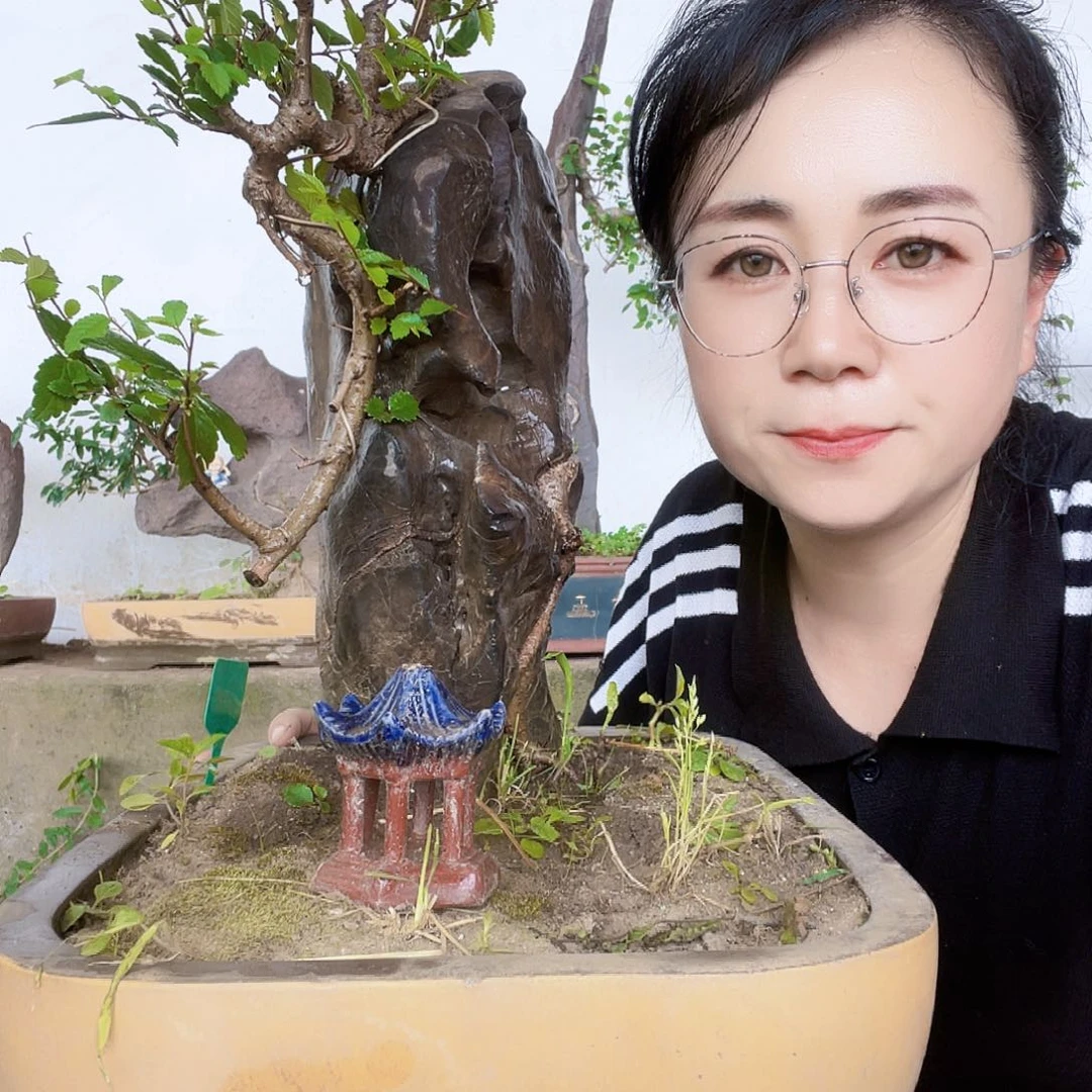 葛***根直播间不见不散开演唱会