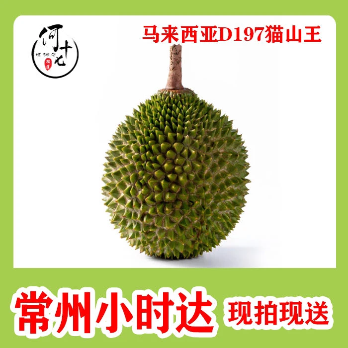 【整果】D197猫山王