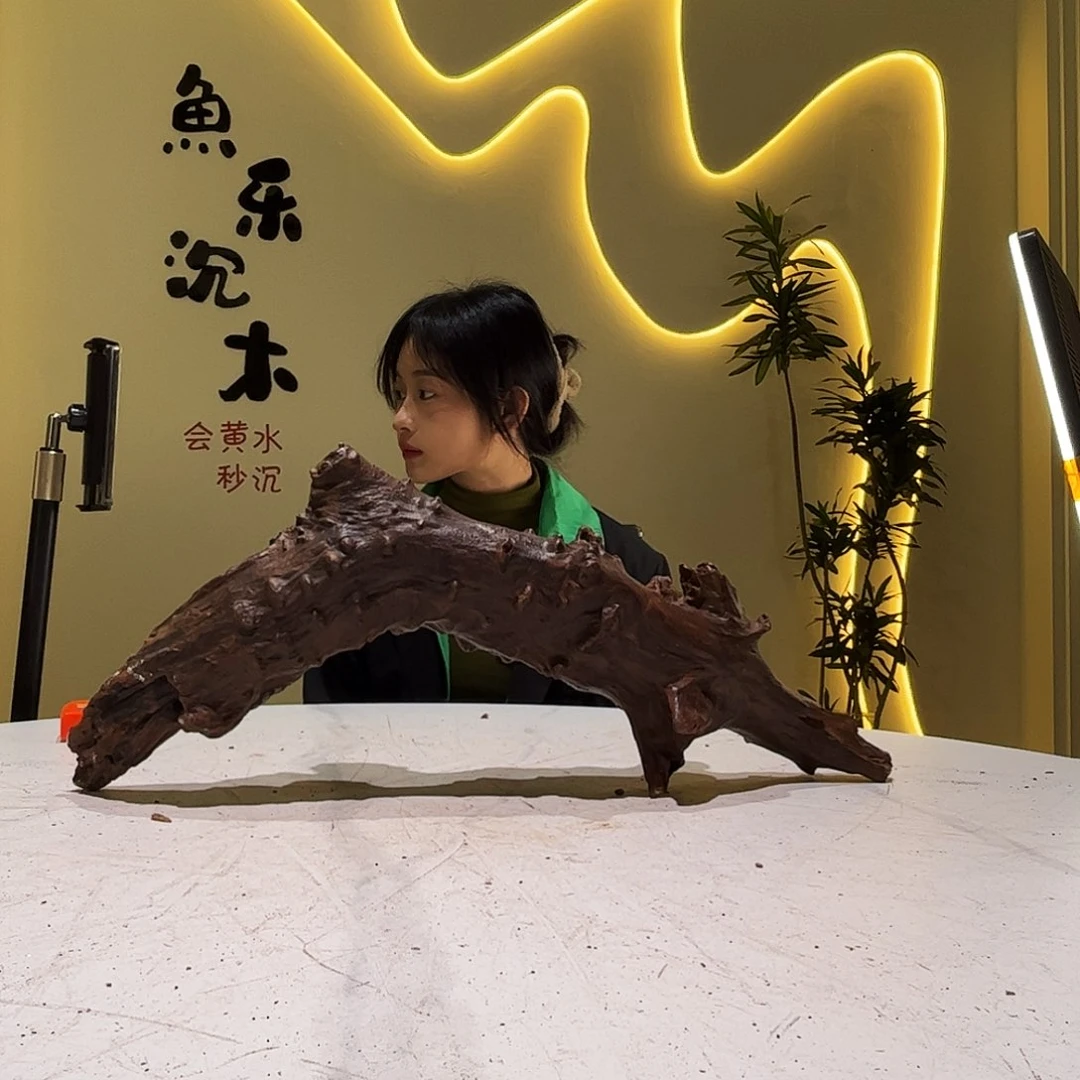 瓦当善*会黄黑红水800。55 13 21