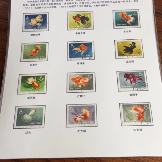 ?****?金鱼盖销贴片