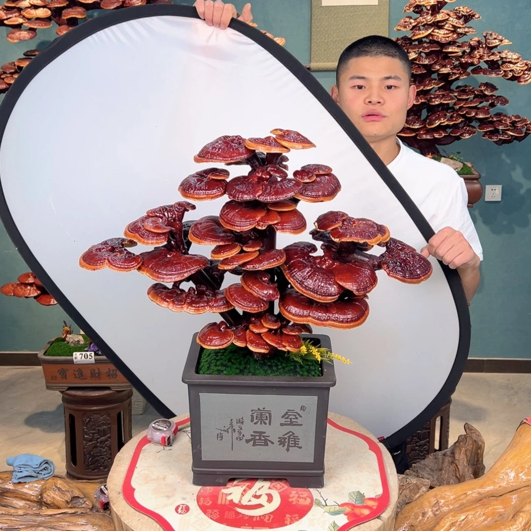 无花朵888888899888