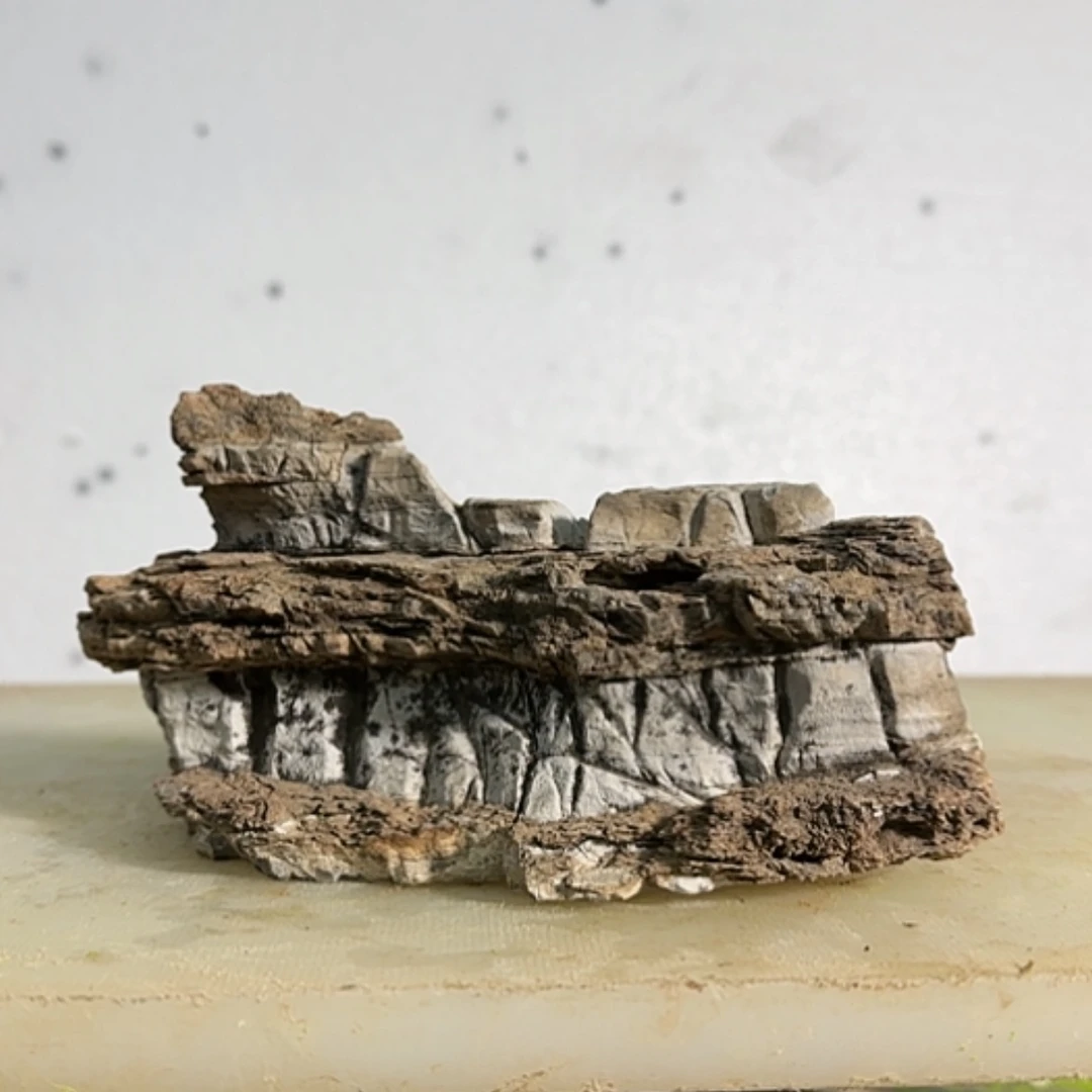 【闪购商品】香榧木梅*糖喝汤了就是一次机会好不