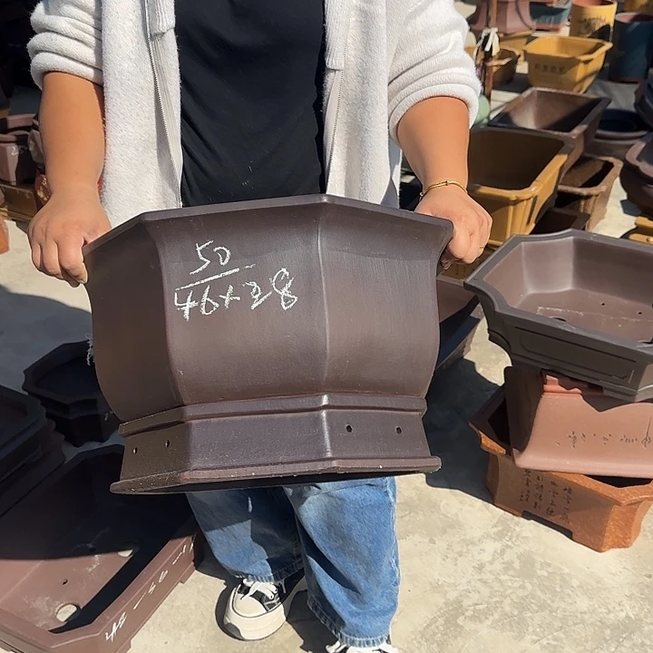 你说了就算吧反正不