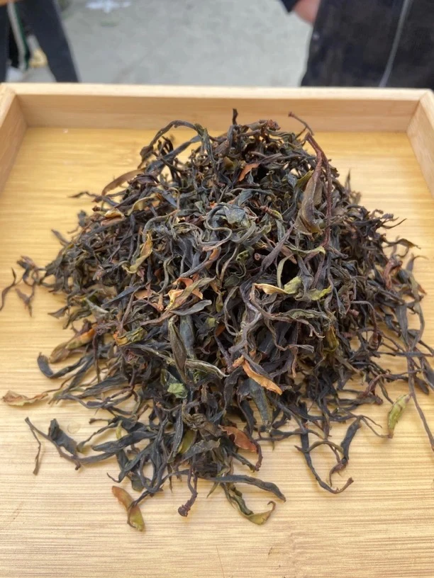 云南腾冲～2025年小叶种单株生茶散茶