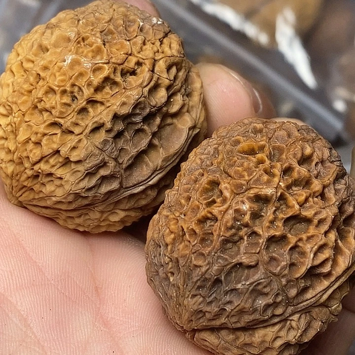 把件文玩核桃云南铁核桃62