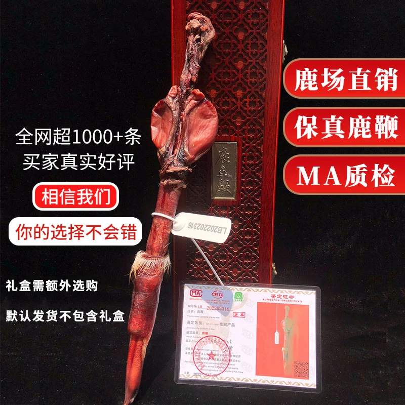 整支鹿宝 干鹿宝 新鲜鹿宝 鹿场直销 泡酒用