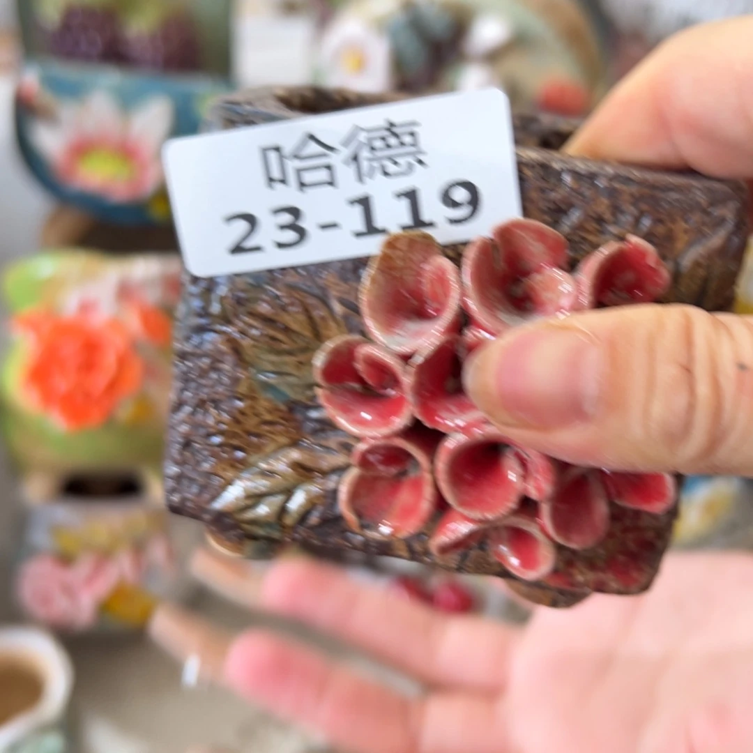 瑕疵23119 拍满18.8元包邮发货