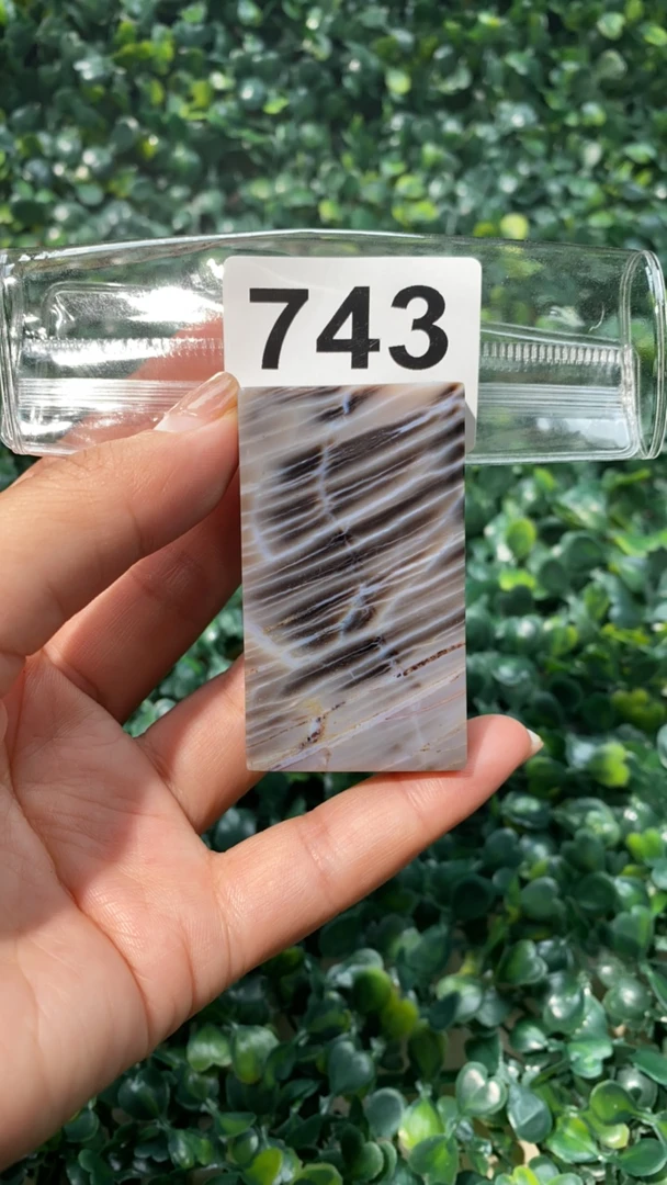 天然北票硅化玉牌子长:58mm宽:34mm厚:10mm