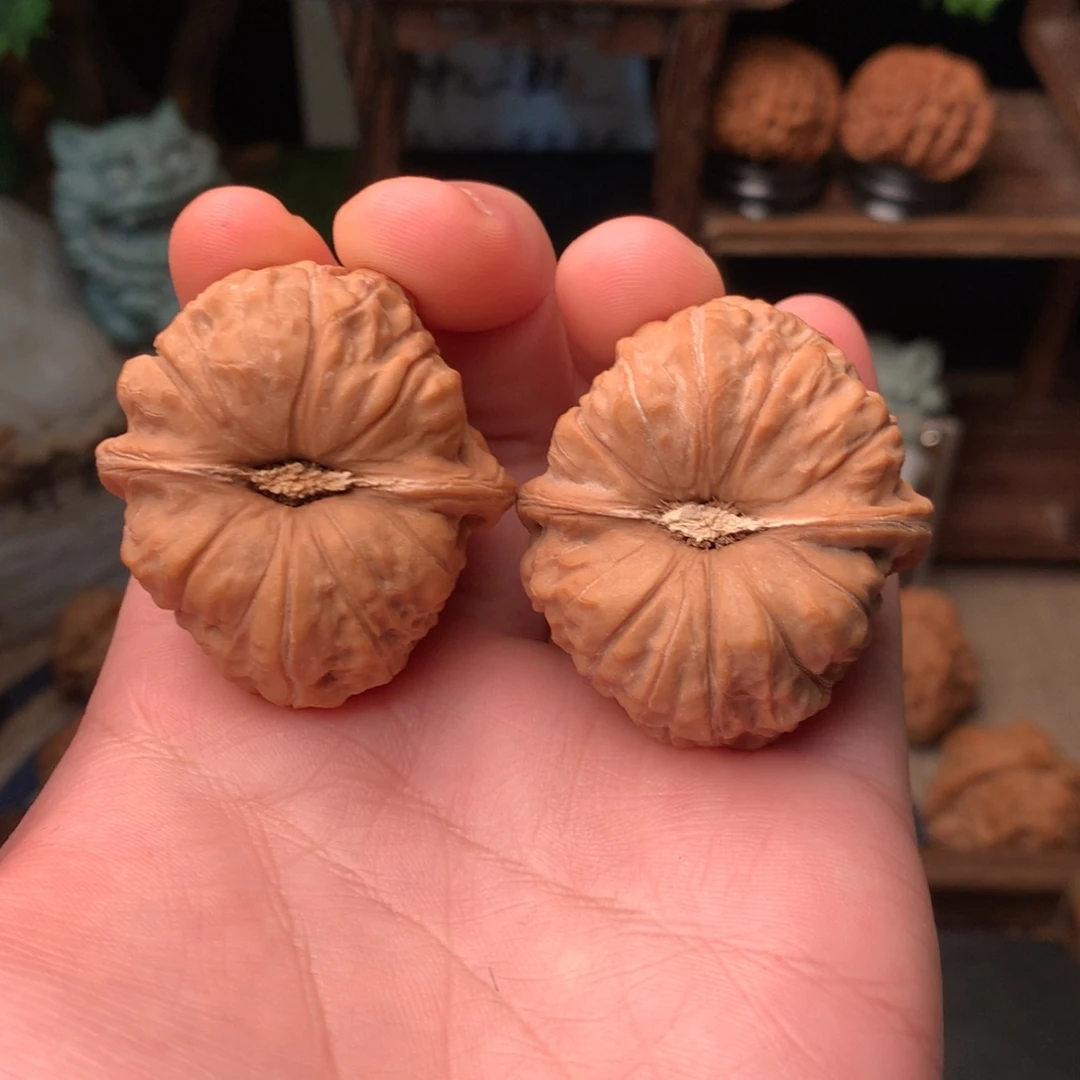 核桃41尺寸南瓜墩