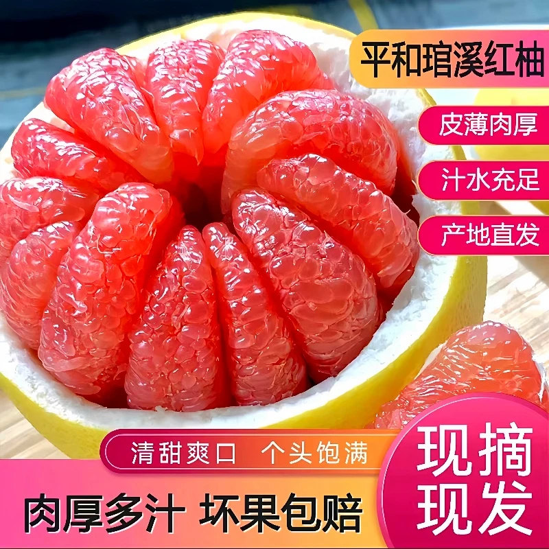 头茬平和琯溪红心蜜柚三红柚新鲜水果红柚子皮薄肉厚多汁当季水果