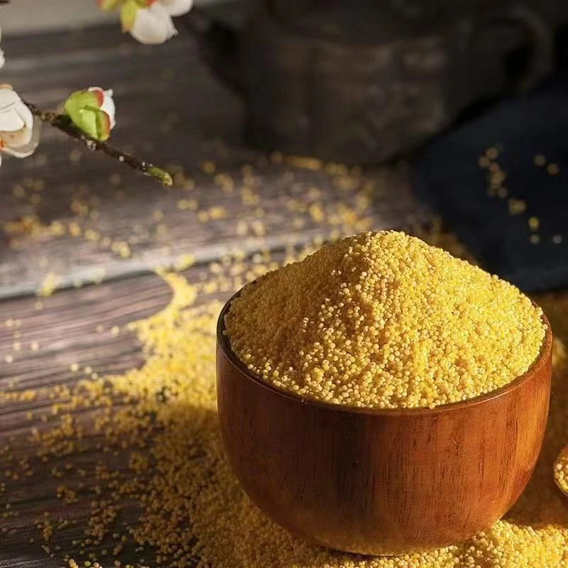 农家营养早餐黄小米 口感细腻 精品五谷杂粮