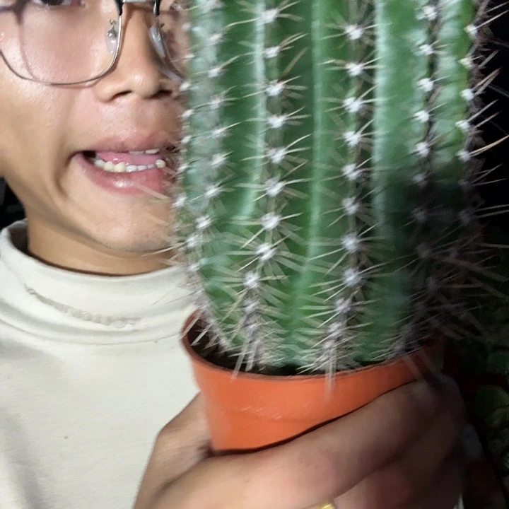 信***张无花朵 彩草哈哈哈哈哈哈哈哈哈