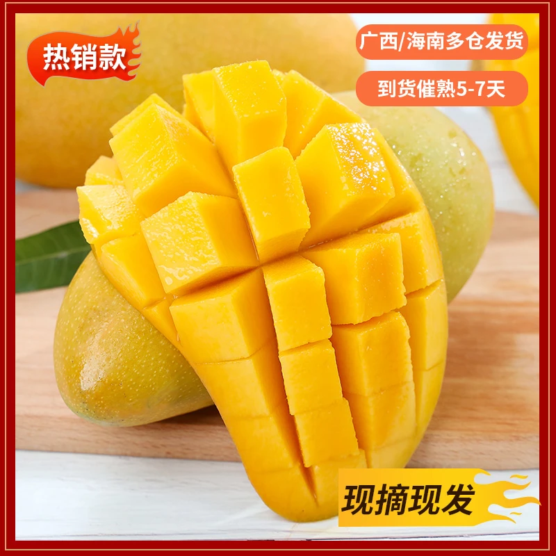 【佰汾佰禾】海南金煌芒4.5-5斤装热带芒果 催熟食用