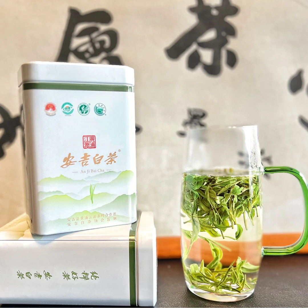 安吉白茶（2025新茶）亏本正宗安吉白茶新人新粉福利尝鲜A6