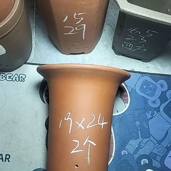 大红兰花两个花盆