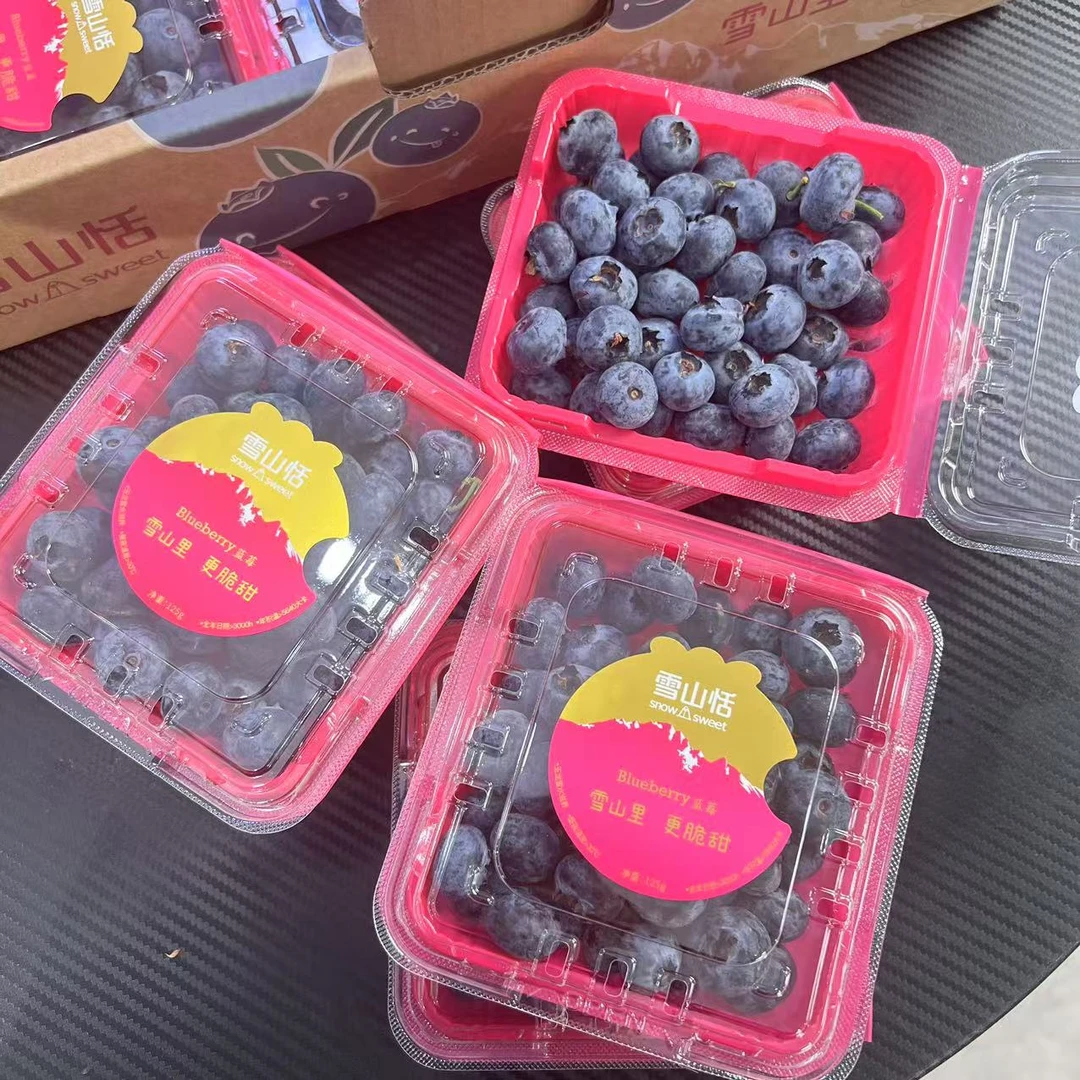 【乐鲜果园】云南高山雪山恬当季新鲜蓝莓一盒125g鲜果