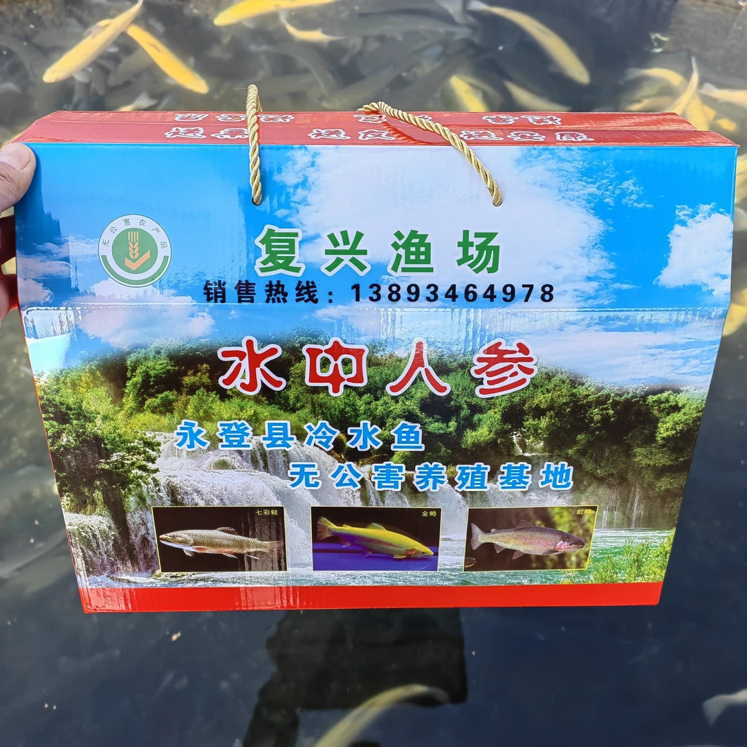 永登七彩鲑金鳟虹鳟8斤装6条各2条精美年中秋节送礼礼盒(净重去除内脏17-20%)