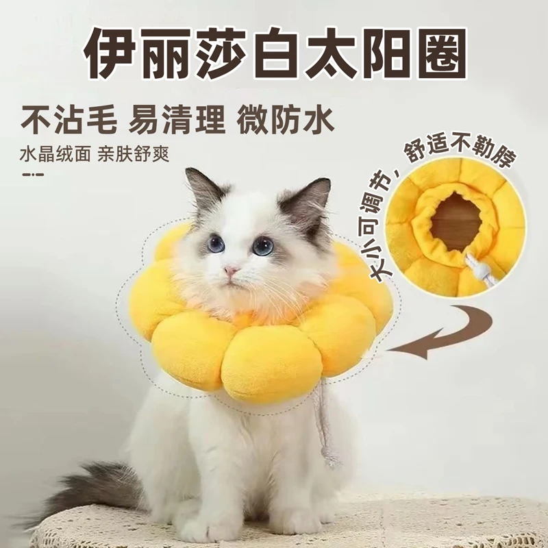宠物项圈太阳花伊丽莎白太阳项圈猫咪绝育防舔头套可调节宠物用品