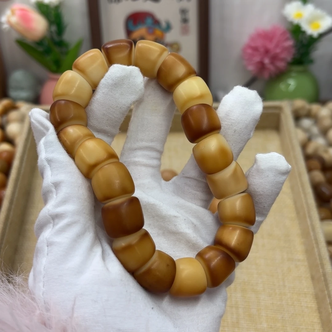 菩提根/象牙果吊坠16干磨瑕疵落地果肠210