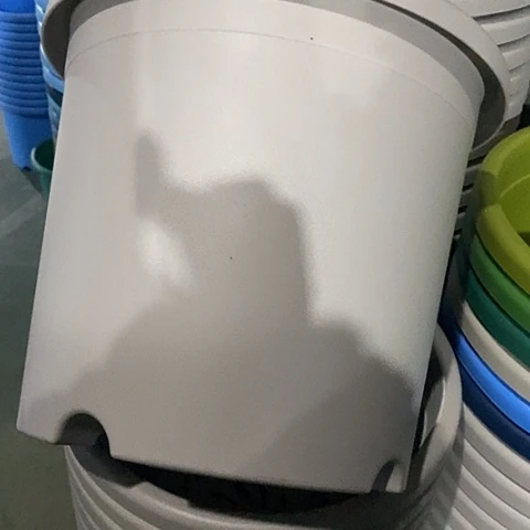 树脂四季5号微瑕的灰白无托6个